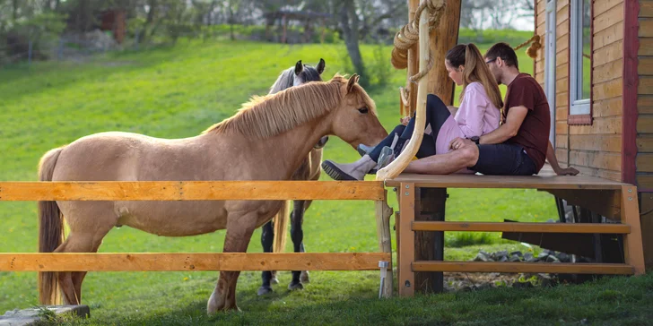 Pobyt mezi zvířátky na ranči: karavan, chatka či maringotka, mini zoo, koně a možnost snídaní
