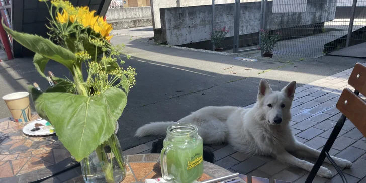 Malování kvašovými barvami pro dospělé i děti: možnost voucheru s kávou dle výběru