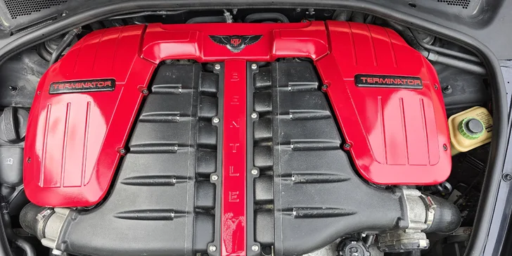 Bentley Continental: 15 min. spolujízdy nebo až 60 min. řízení i s focením a knihou