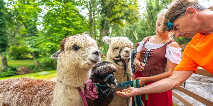Zámek d'Este u Třeboně: pobyt se snídaní nebo i privátním wellness a zámeckým farmaparkem