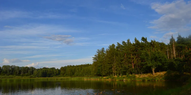 Vybavený tiny house uprostřed přírody s venkovním posezením a grilem