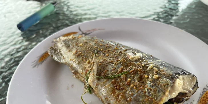 Prodej pstruhů čerstvě vylovených ze sádek v Šenově: 1 kg