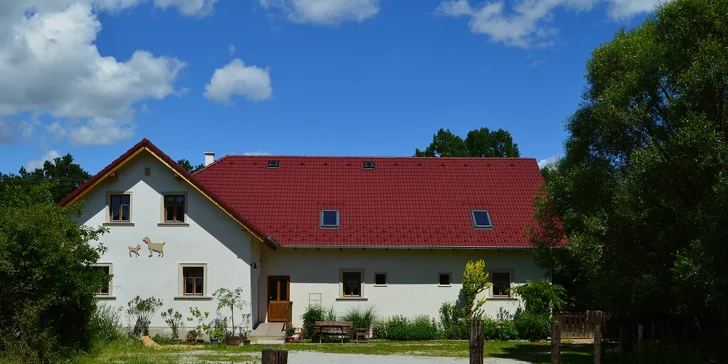 Dovolená uprostřed přírody: farma u řeky Nežárky, zeleň, výlety, koupání i rybaření