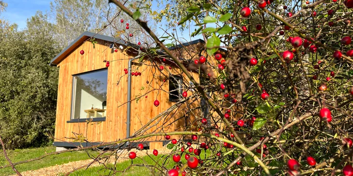 Vybavený tiny house uprostřed přírody s venkovním posezením a grilem