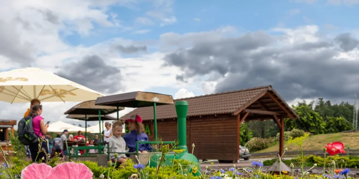 Celodenní vstup do Farmaparku včetně všech atrakcí a kyblík krmení nebo plyšák