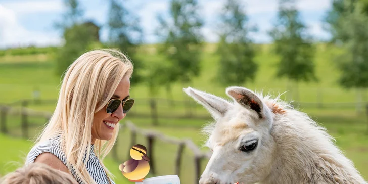 Celodenní vstup do Farmaparku včetně všech atrakcí a kyblík krmení nebo plyšák