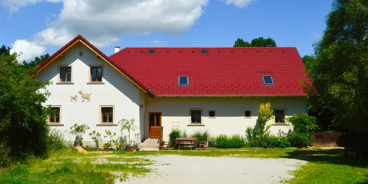 Dovolená uprostřed přírody: farma u řeky Nežárky, zeleň, výlety, koupání i rybaření