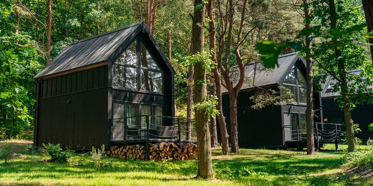 Viselská laguna: moderní domky a apartmány se snídaní a saunou, lanový park, v létě bazén