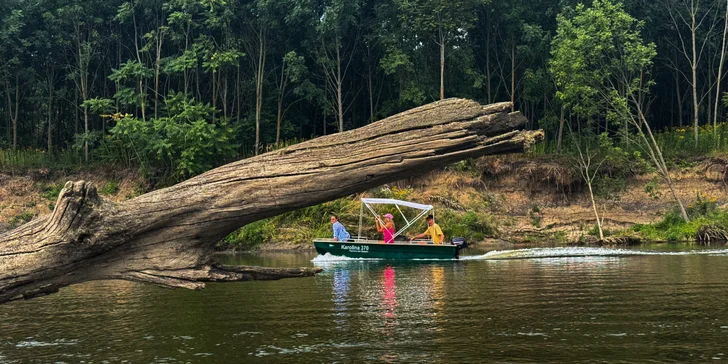 Pronájem paddleboardu nebo lodě pro dvě až čtyři osoby: půjčovna na řece Moravě