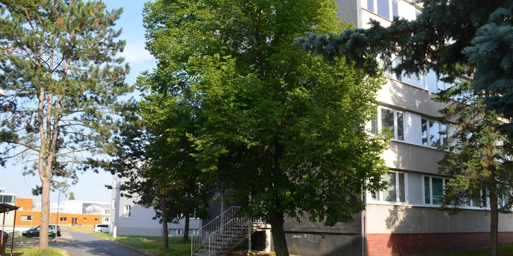 Vstupní vyšetření nebo kompletní dentální hygiena pro dospělé
