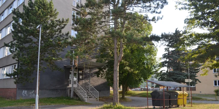 Vstupní vyšetření nebo kompletní dentální hygiena pro dospělé