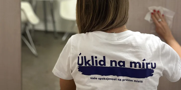 Pracovníci firmy během 3hodinového úklidu obstarají domácnost o ploše do 120 m².