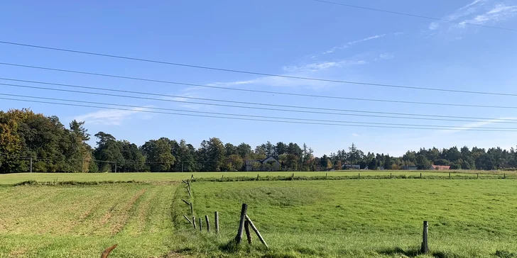Individuální venčení vašeho pejska v přírodě: 60 nebo 3x 60 min.