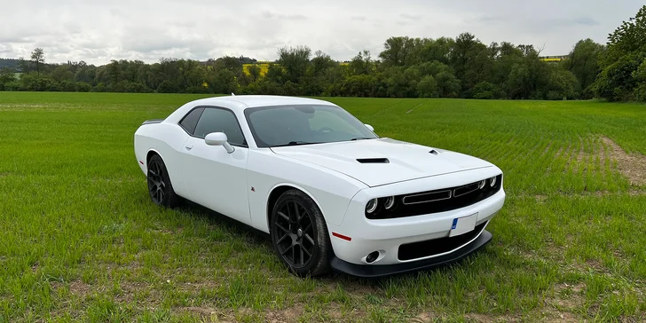 Brutální jízda v nabušené káře: Dodge Challenger 6.4 V8 SRT na 12 či 24 hodin