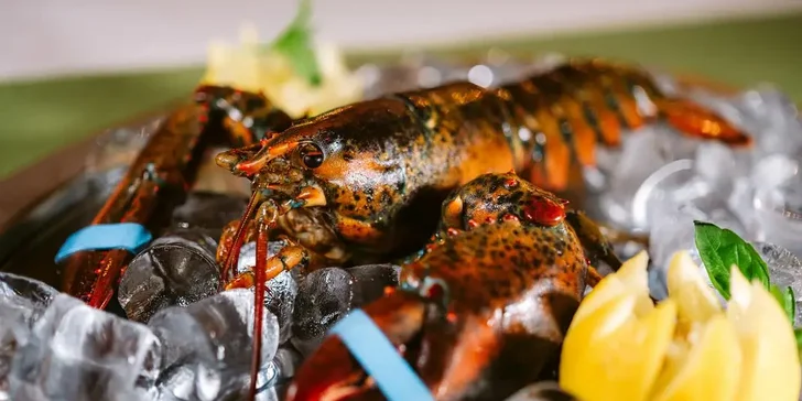 Luxusní 3chod. středomořské menu: krevety, humr i sklenka šampaňského