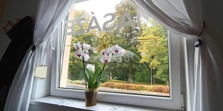 Uvolnění a relaxace na 20–90 min.: masáž zad, šíje, dolních končetin i celého těla