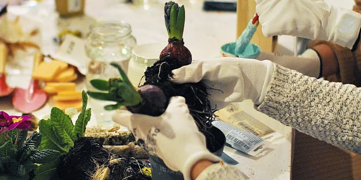 Podzimní floristický workshop aranžování květin v dýni vč. občerstvení: 1-2 os.