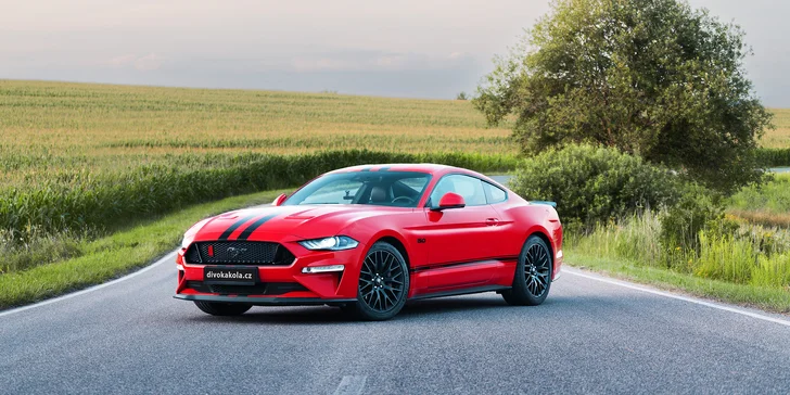 Nezapomenutelný zážitek: jízda nebo pronájem legendárního Fordu Mustang 5.0 V8 Coyote