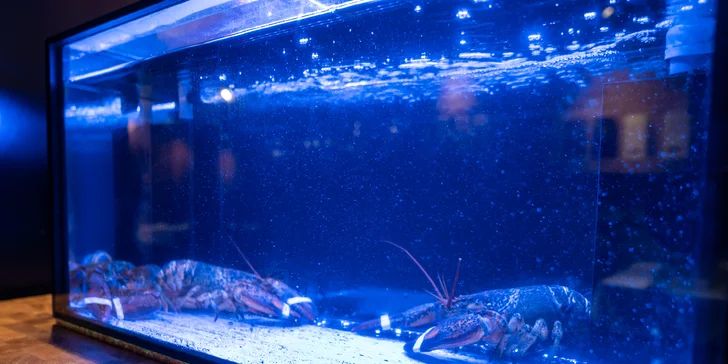 Luxusní 4chod. italské menu pro dva: hovězí carpaccio, medailonky i sklenka vína