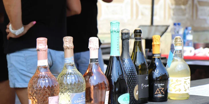 Vstup na vinný festival v podobě degustační sklenice i útrata v hodnotě 600-2500 Kč