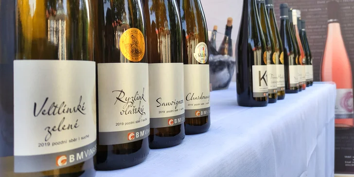 Vstup na vinný festival v podobě degustační sklenice i útrata v hodnotě 600-2500 Kč
