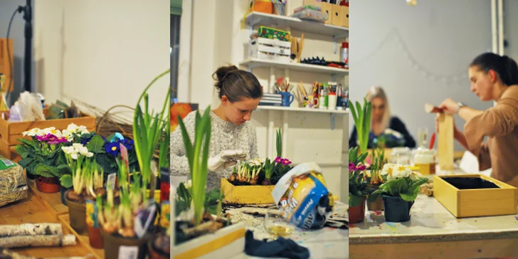 Podzimní floristický workshop aranžování květin v dýni vč. občerstvení: 1-2 os.