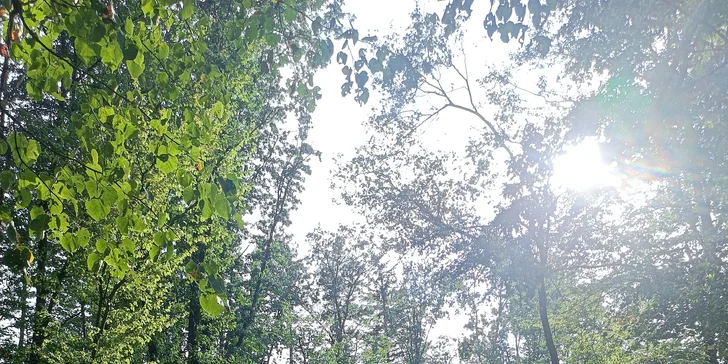 Dobijte adrenalin: 3hodinová paintballová zábava vč. kuliček a občerstvení