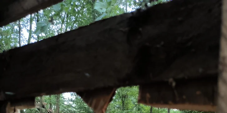 Dobijte adrenalin: 3hodinová paintballová zábava vč. kuliček a občerstvení