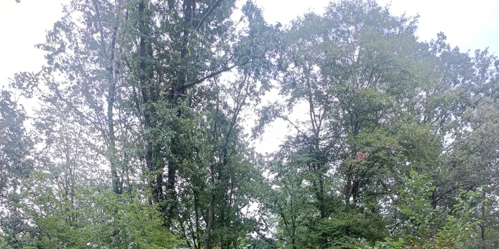Dobijte adrenalin: 3hodinová paintballová zábava vč. kuliček a občerstvení