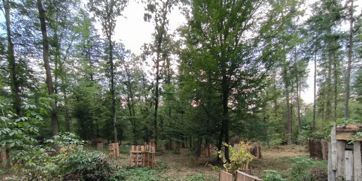 Dobijte adrenalin: 3hodinová paintballová zábava vč. kuliček a občerstvení