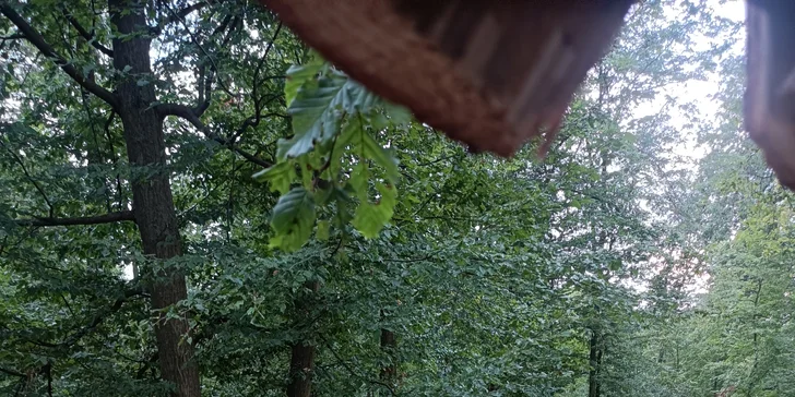 Dobijte adrenalin: 3hodinová paintballová zábava vč. kuliček a občerstvení