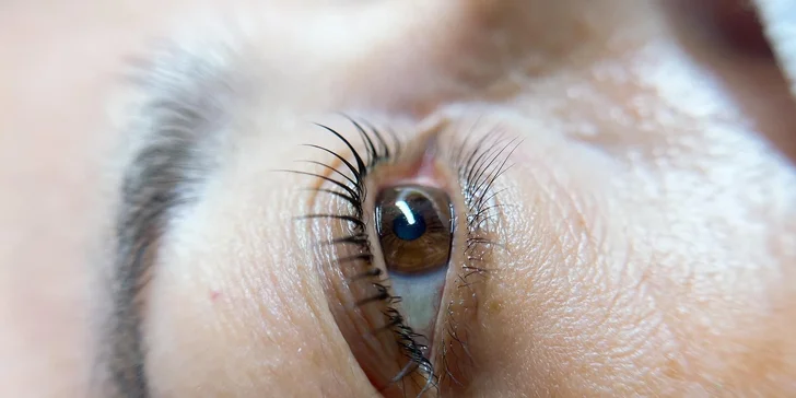 Dokonalý pohled: Lash lifting řas včetně barvení a výživy