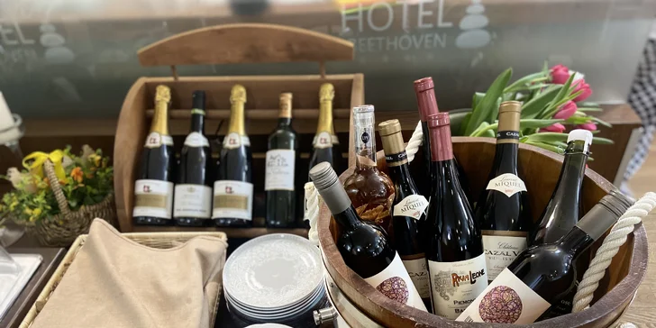 Svatomartinské menu o 5 chodech: lokše, polévka, husa, sýr, dezert i vinné párování