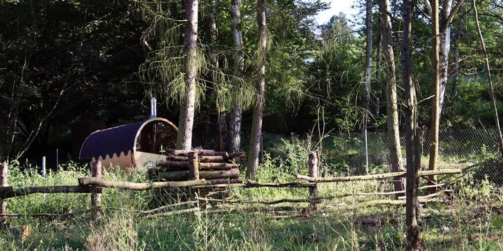 Glamping: zrelaxujte v mongolské jurtě s otevřeným výhledem na noční oblohu, až pro 3 osoby, vč. snídaně