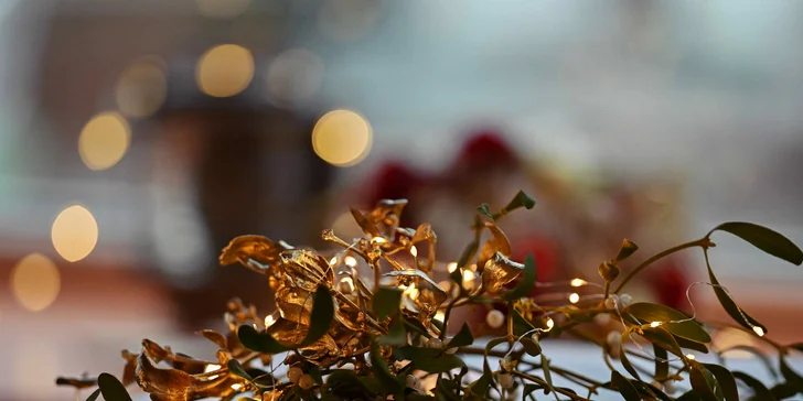 Adventní plavba centrem Prahy s výkladem a nápojem i rautovou večeří