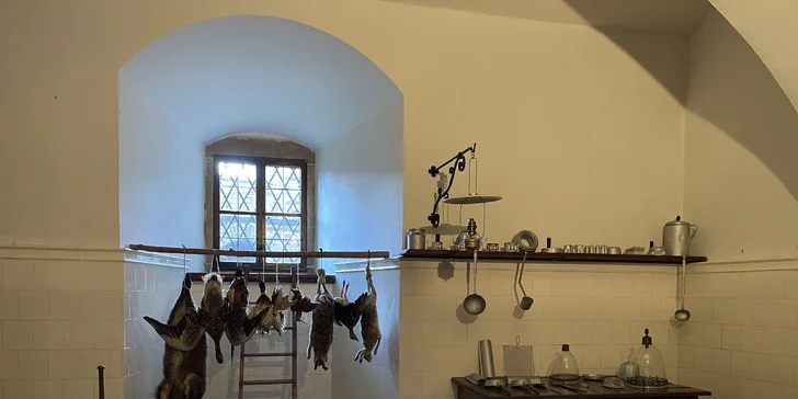 Adventní výlet na Hanou: tradiční trhy v Olomouci i vánoční prohlídka Bouzova