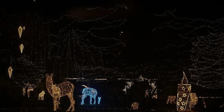 Adventní plavba centrem Prahy s výkladem a nápojem i rautovou večeří