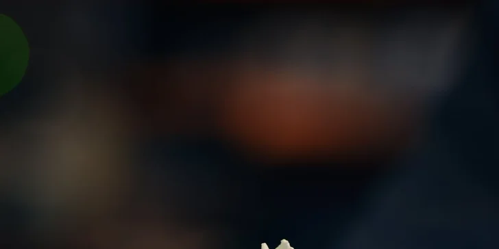 Adventní plavba centrem Prahy s výkladem a nápojem i rautovou večeří