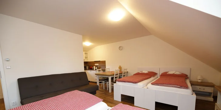Pobyt v příjemném apartmánu v České Kanadě až pro 5 osob