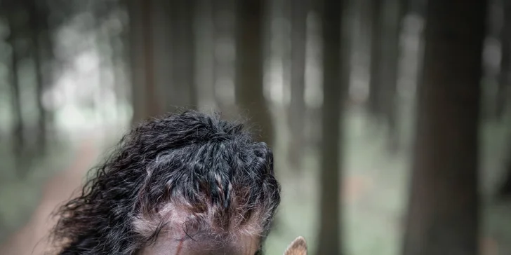 Profi focení s vlkem nebo s vaším pejskem včetně rekvizit: 5 upravených fotek i možnost videa