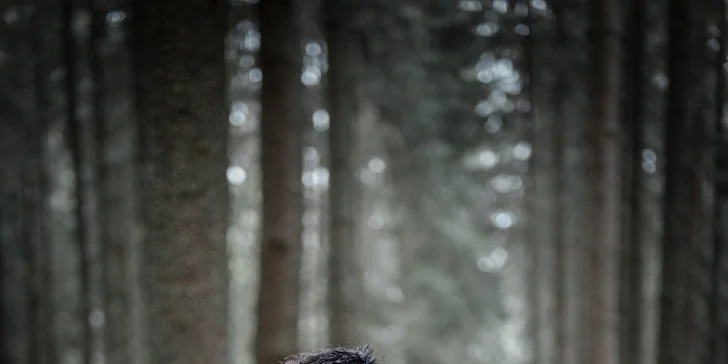 Profi focení s vlkem nebo s vaším pejskem včetně rekvizit: 5 upravených fotek i možnost videa