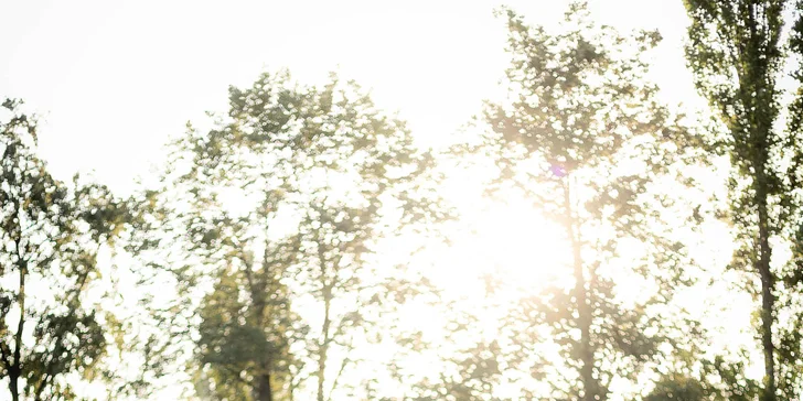 Focení rodin, párů i jednotlivců v exteriéru: 5, 10 nebo 20 upravených snímků