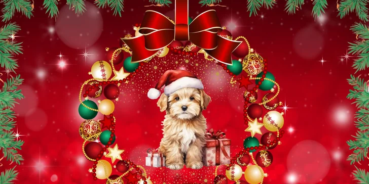 Adventní PDF kalendář plný šifer, hádanek a úkolů: zábava pro děti až do Vánoc