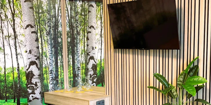 Pobyt u zámeckého parku s Konopištěm na dosah. Snídaně či polopenze i vstup do wellness