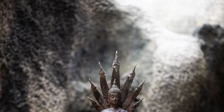 Výstava umění China-Art: stálá expozice artefaktů z Číny, Japonska a Indie