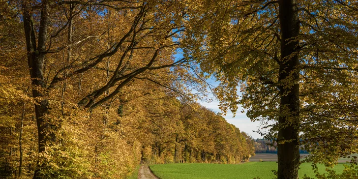 Relax v přírodě: penzion v CHKO Český les, strava i pobyty s wellness či sportem
