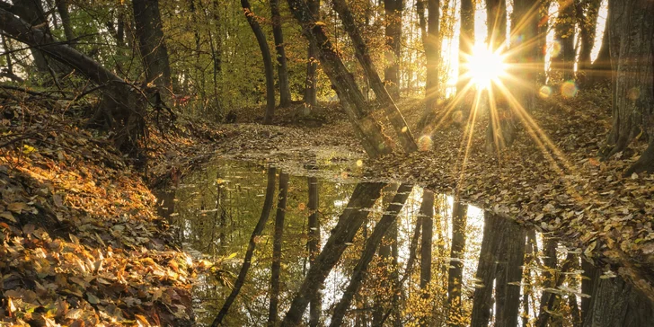 Relax v přírodě: penzion v CHKO Český les, strava i pobyty s wellness či sportem