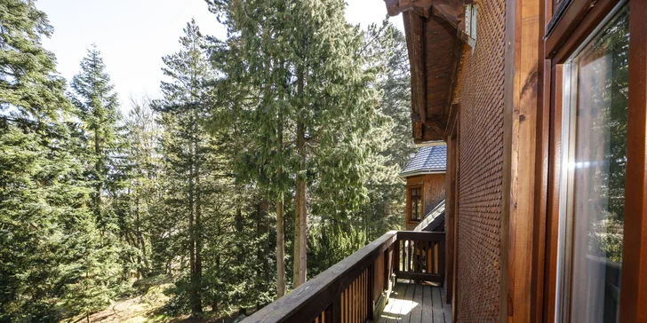 Krásné apartmány v polských Krkonoších: snídaně či polopenze i sauna