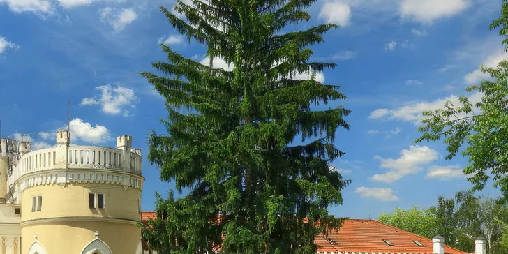 Romantický pobyt v hotelu Chateau St. Havel****: zámecké snídaně, 4chodová večeře, wellness i šampaňské