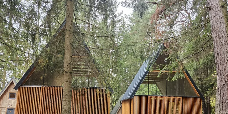 Pobyt v Posázaví: hotel uprostřed lesů, s rybníkem, wellness a aktivitami pro celou rodinu